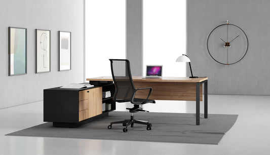 Slim Managerial - Direzionale